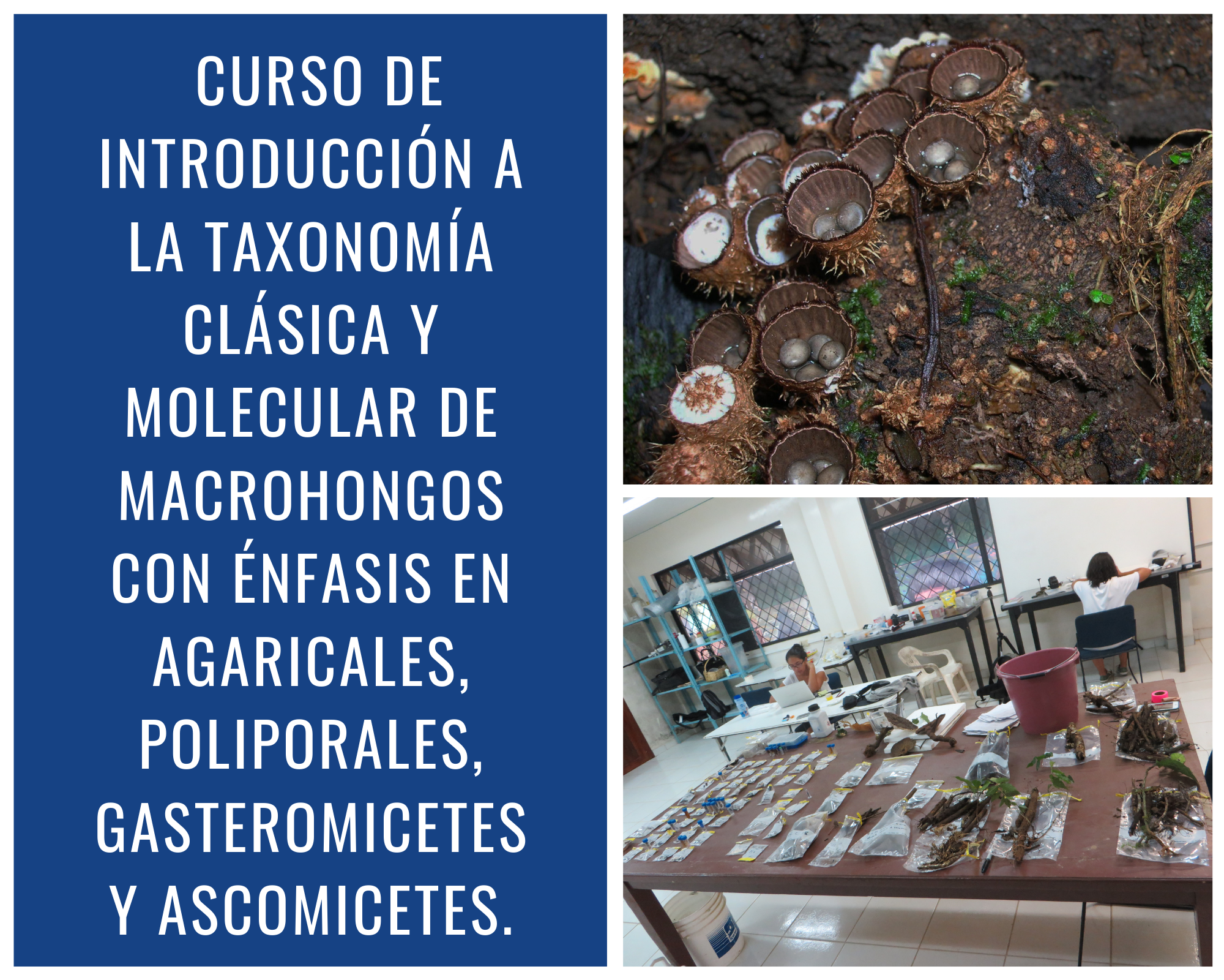 curso 1 web