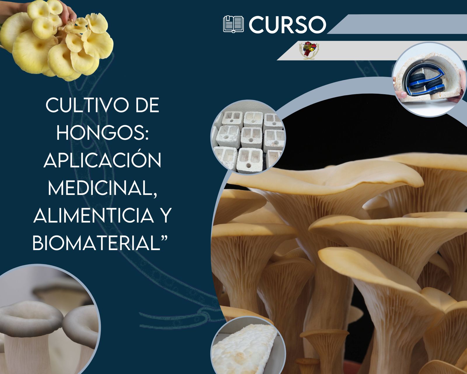 curso 1 web 2