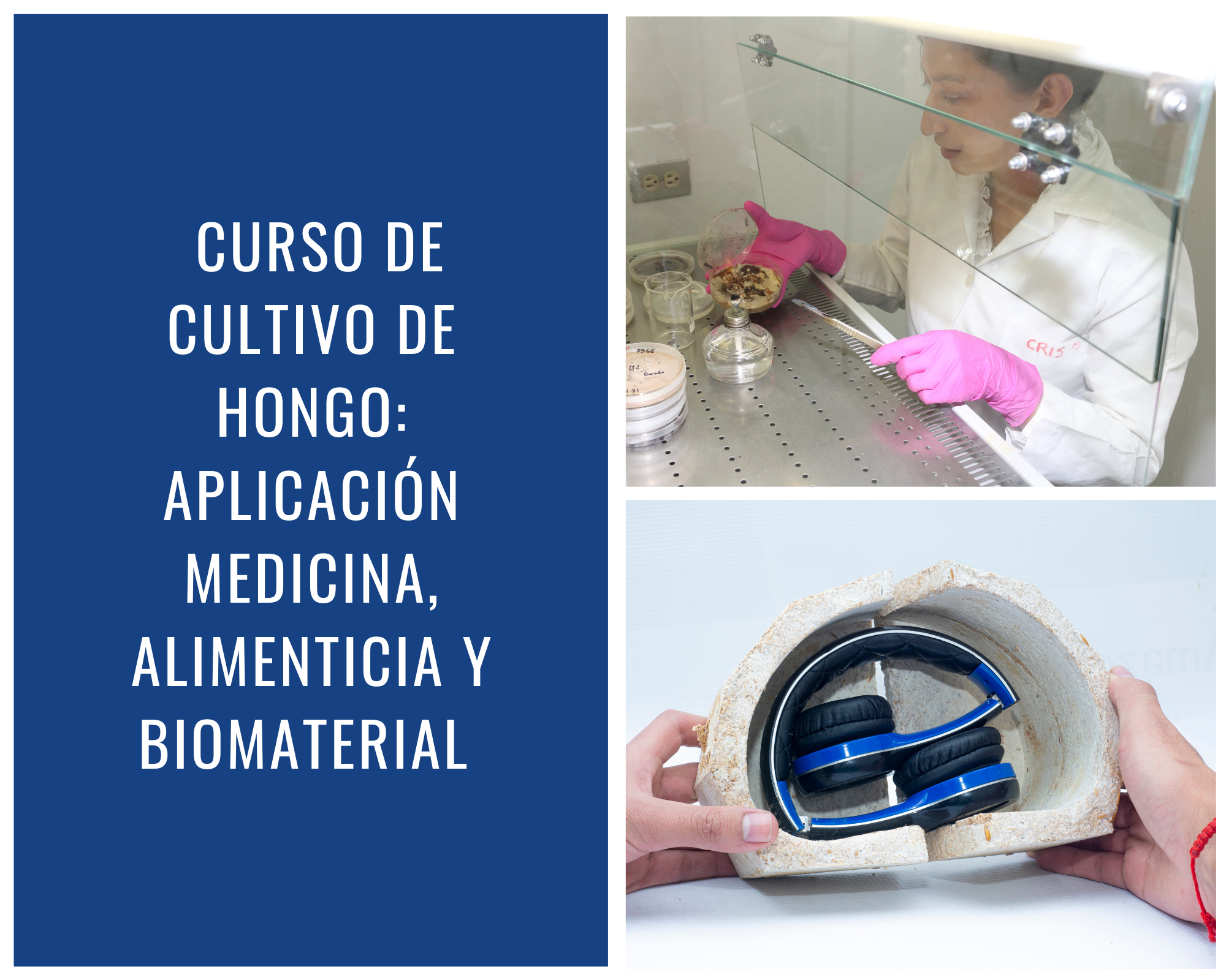 curso 3 web