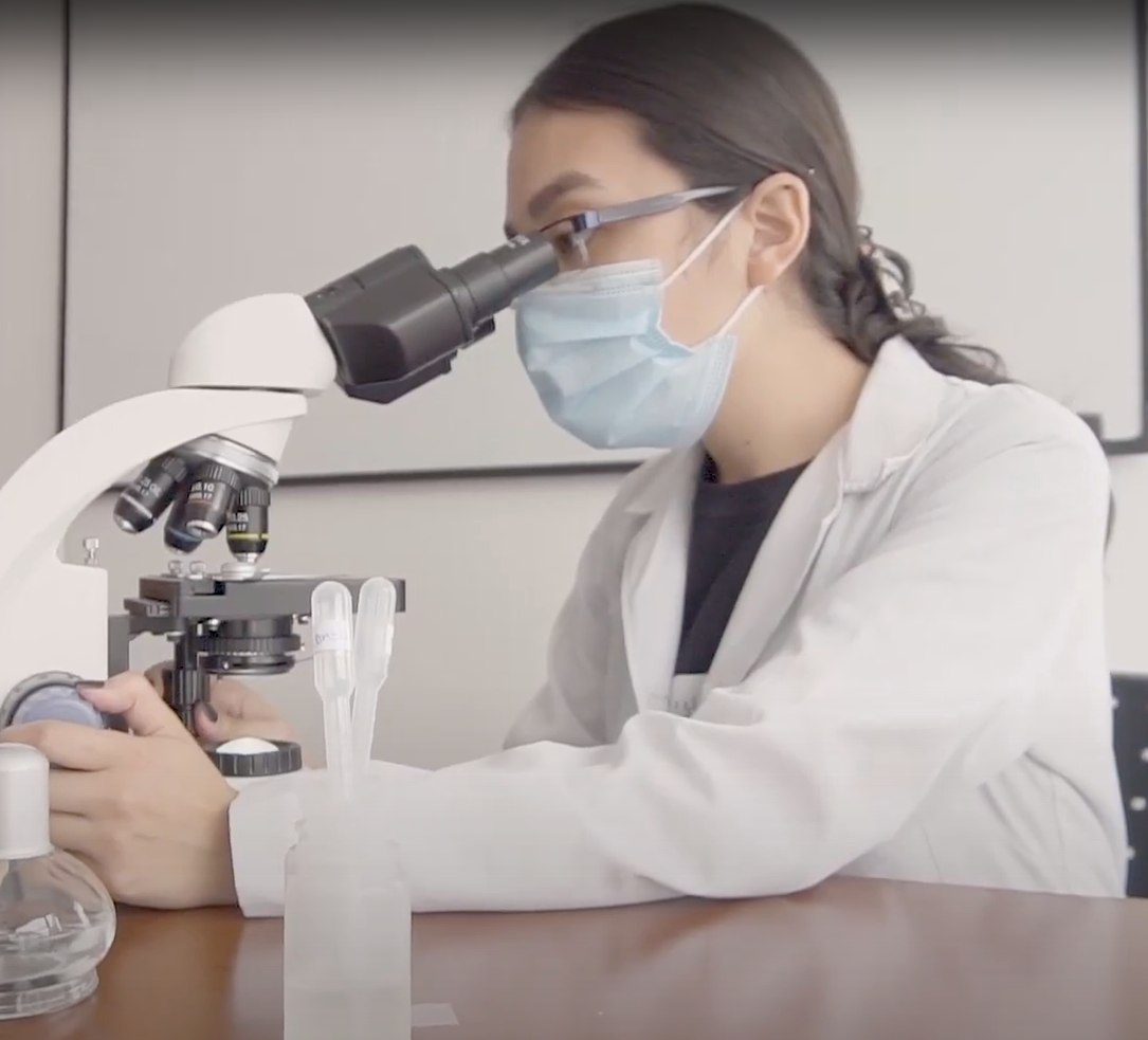 micología médica 1
