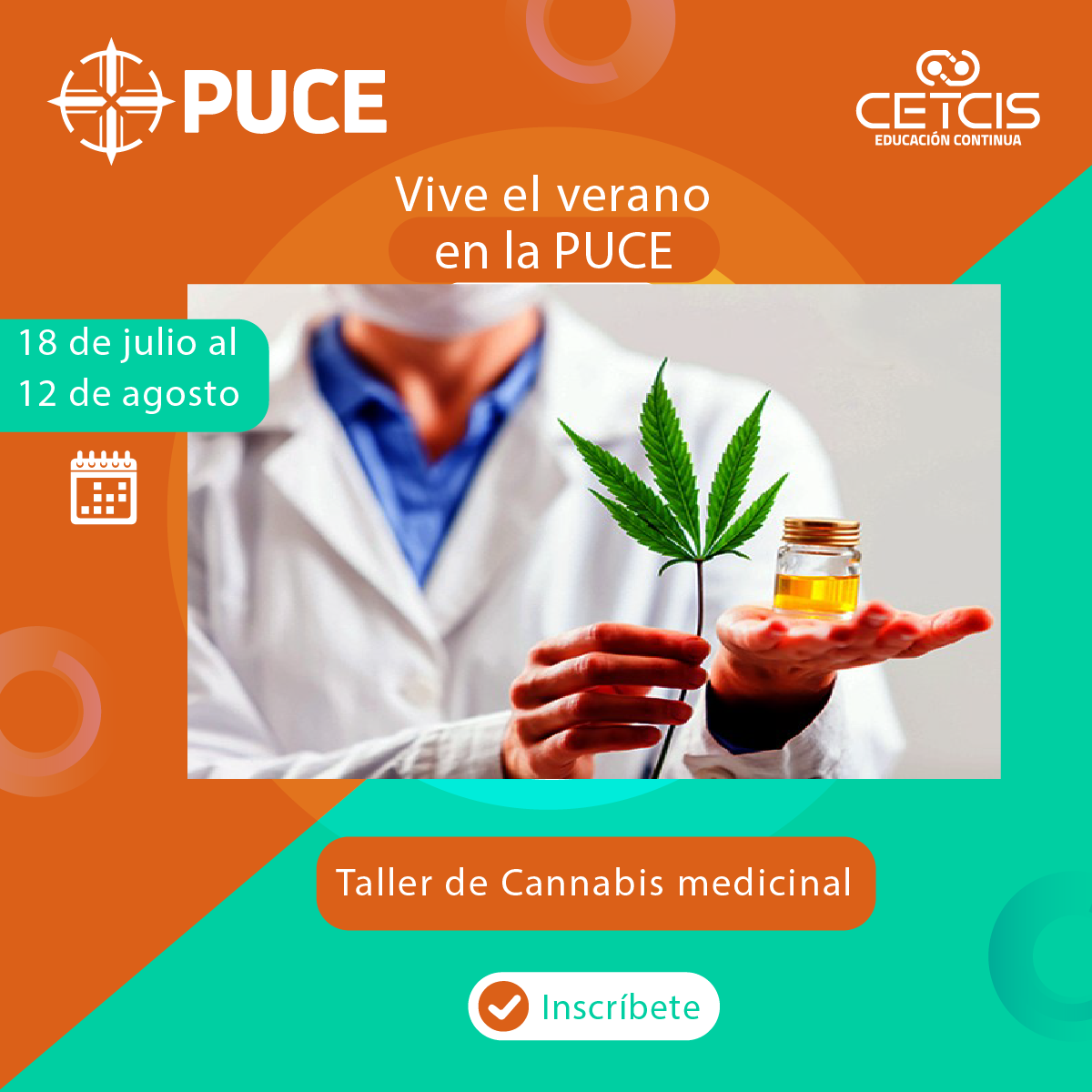 Arte cannabis medicinal nuevo