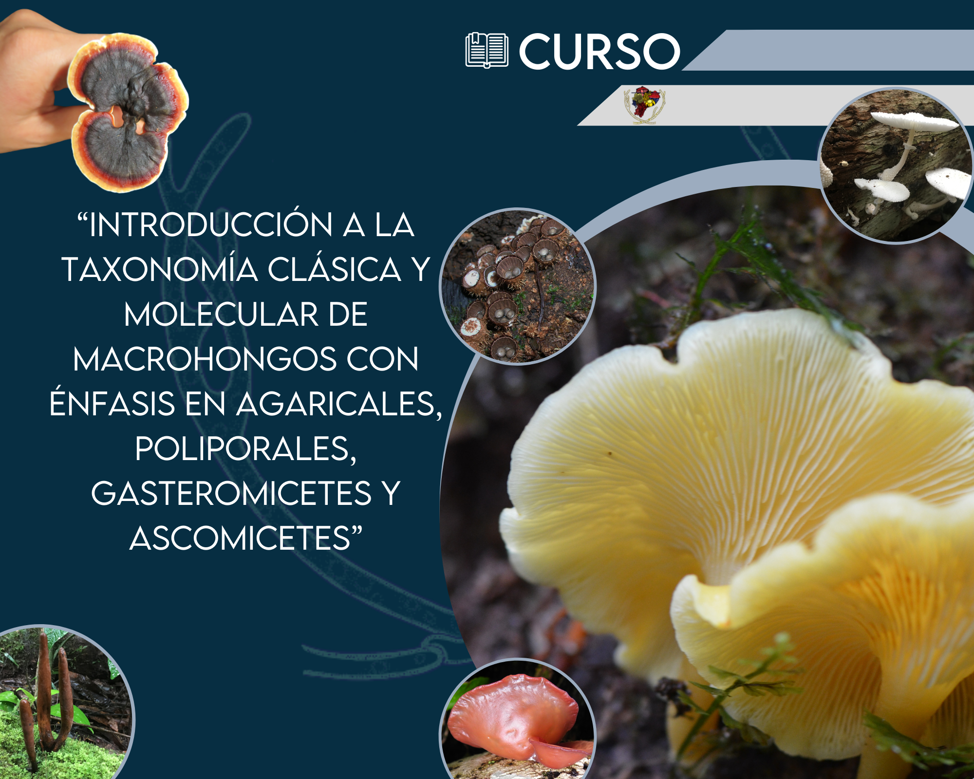 CURSO_1