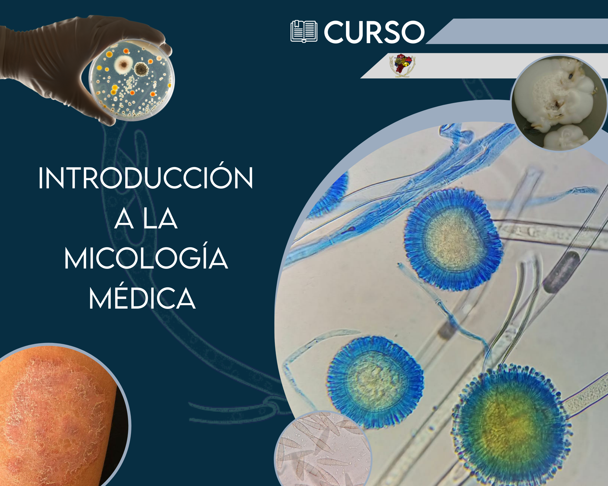 CURSO_2
