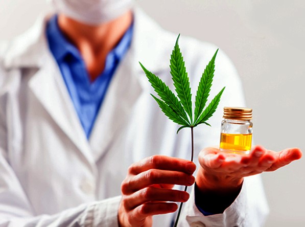 cannabis web