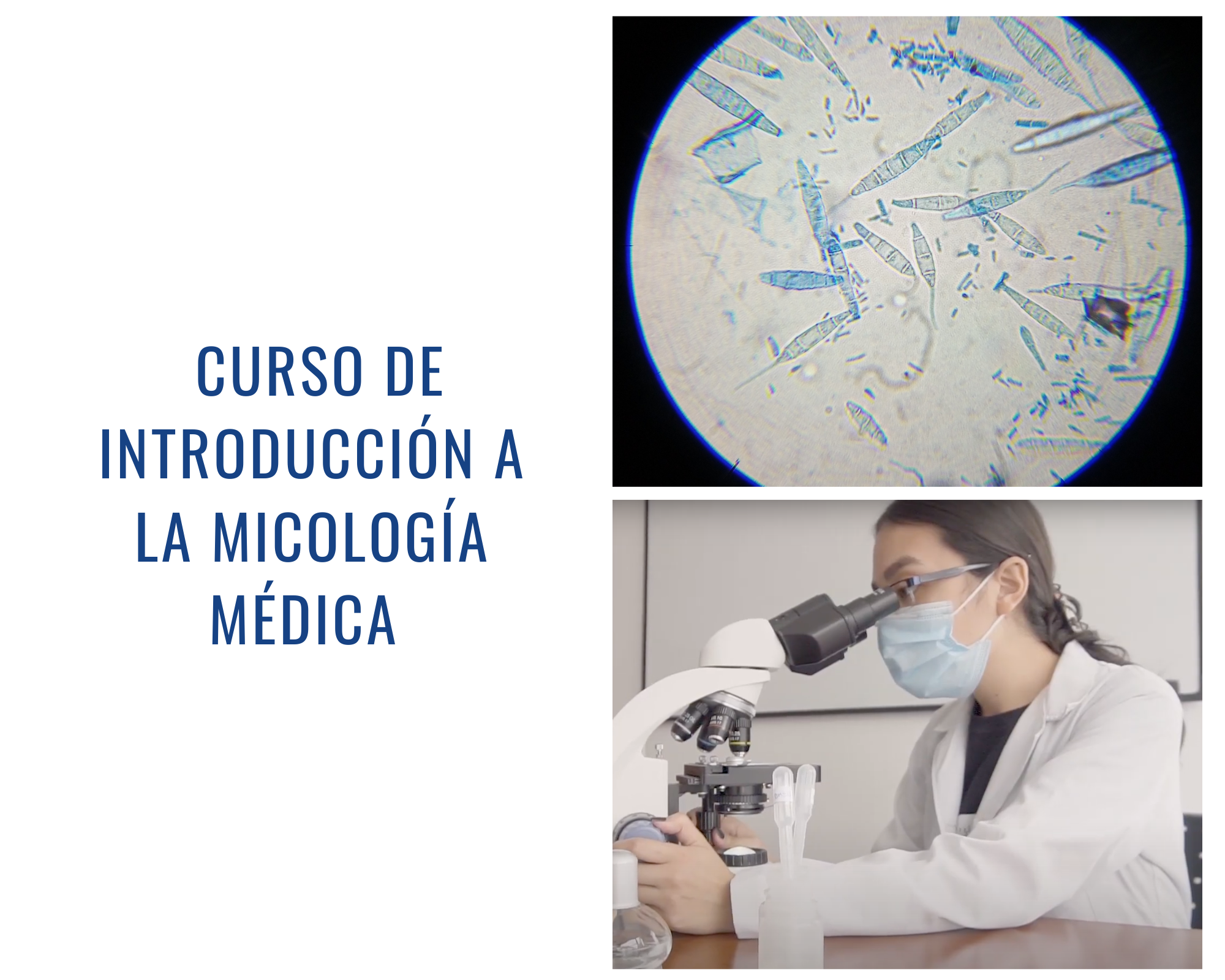 imagen curso 2 web