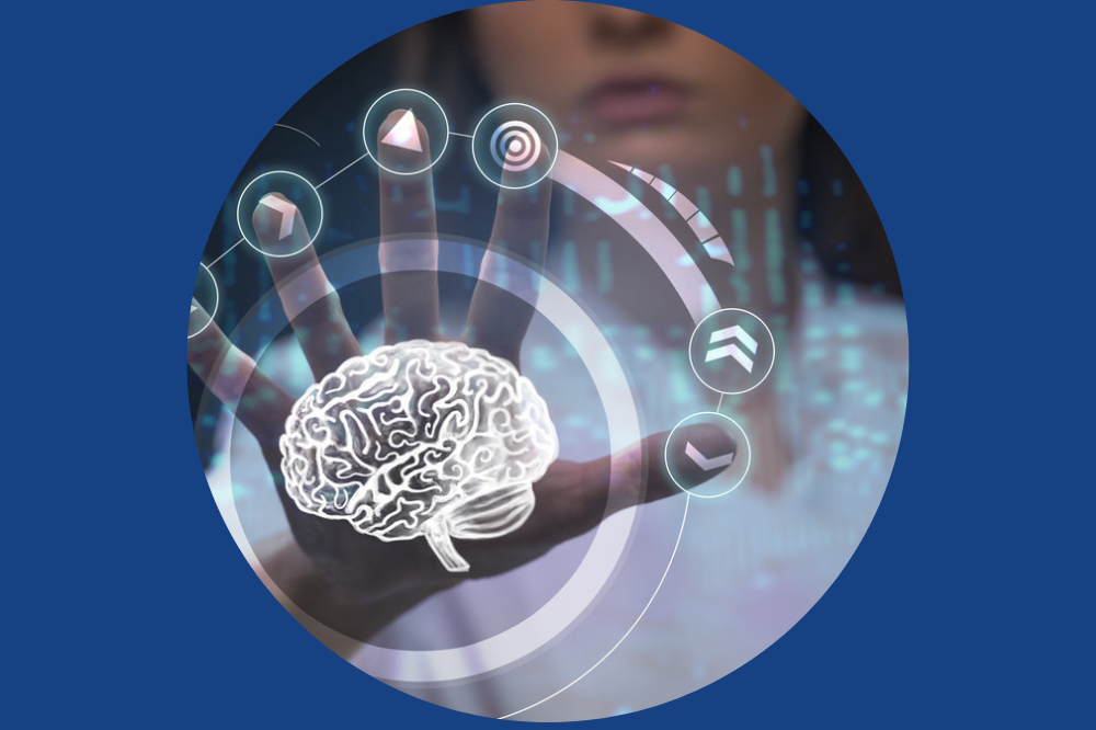 imagen curso web